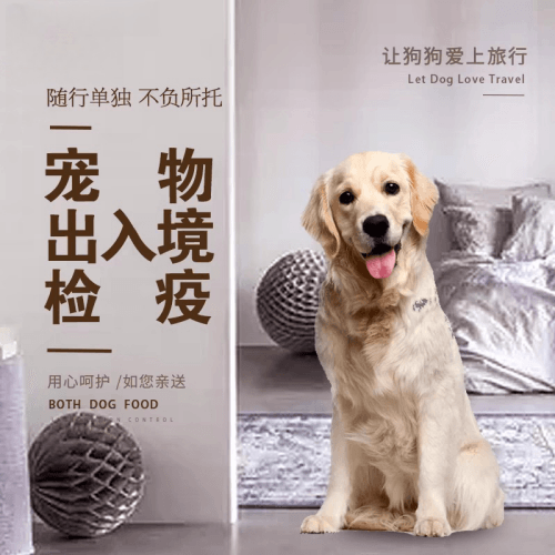 南宁市宠物托运到哥伦比亚猫狗宠物入境规定和