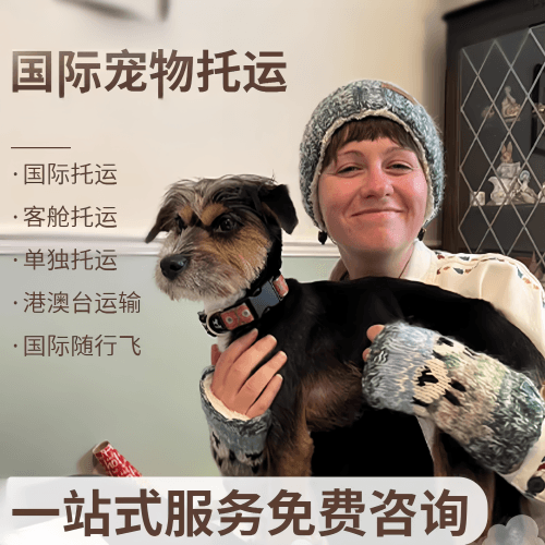 南宁市国际宠物托运到阿根廷宠物入境规定和要
