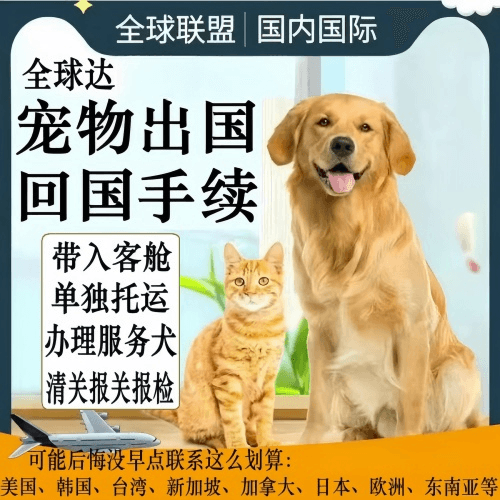 南宁市宠物托运到柬埔寨宠物入境规定和要求