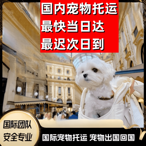 南宁市到澳大利亚（澳洲）宠物入境规定和要求