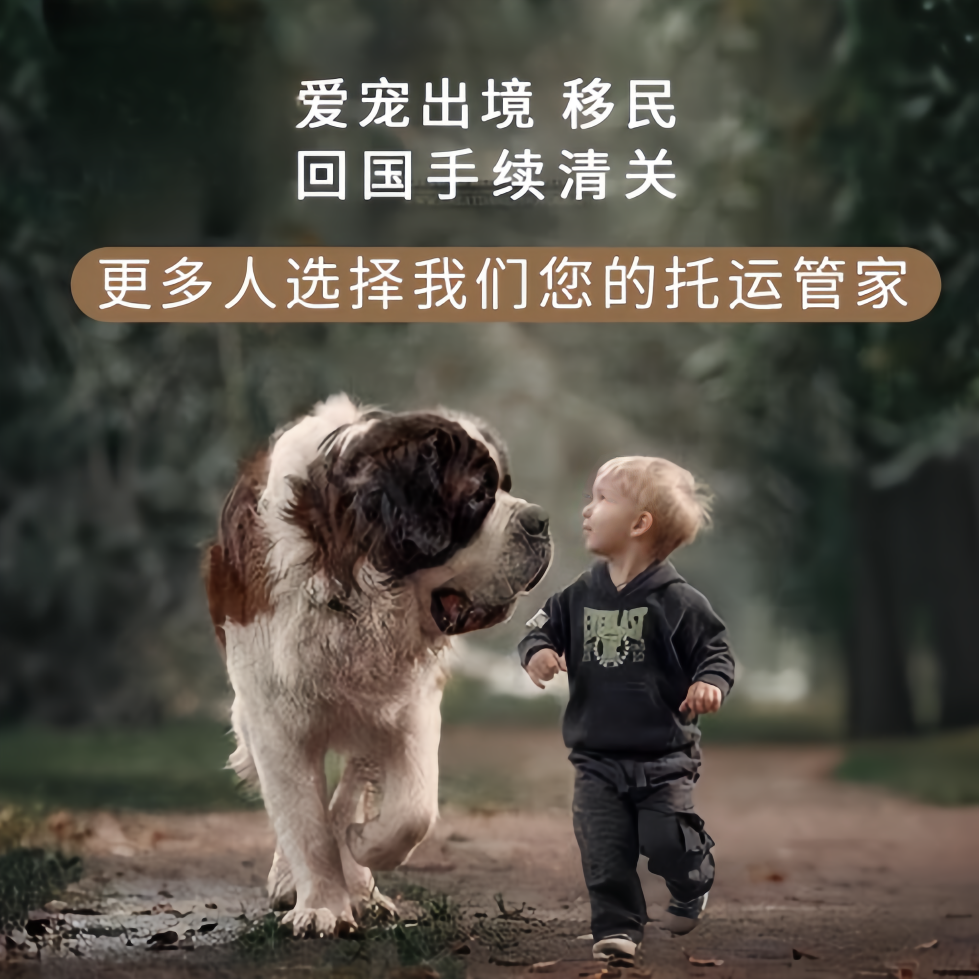 满财南宁市宠物全球达宠物托运在遵守入境目的地政策的条件