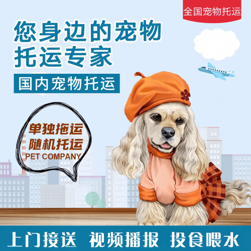 满财南宁市宠物全球达宠物托运作为专业的宠物运输代理机构